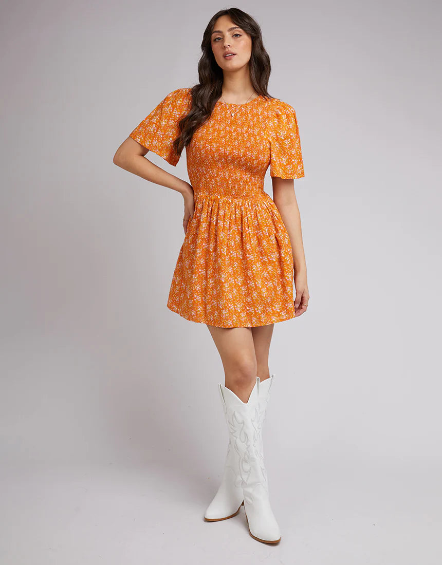 Allabouteve - Clementine  Mini Dress | Floral