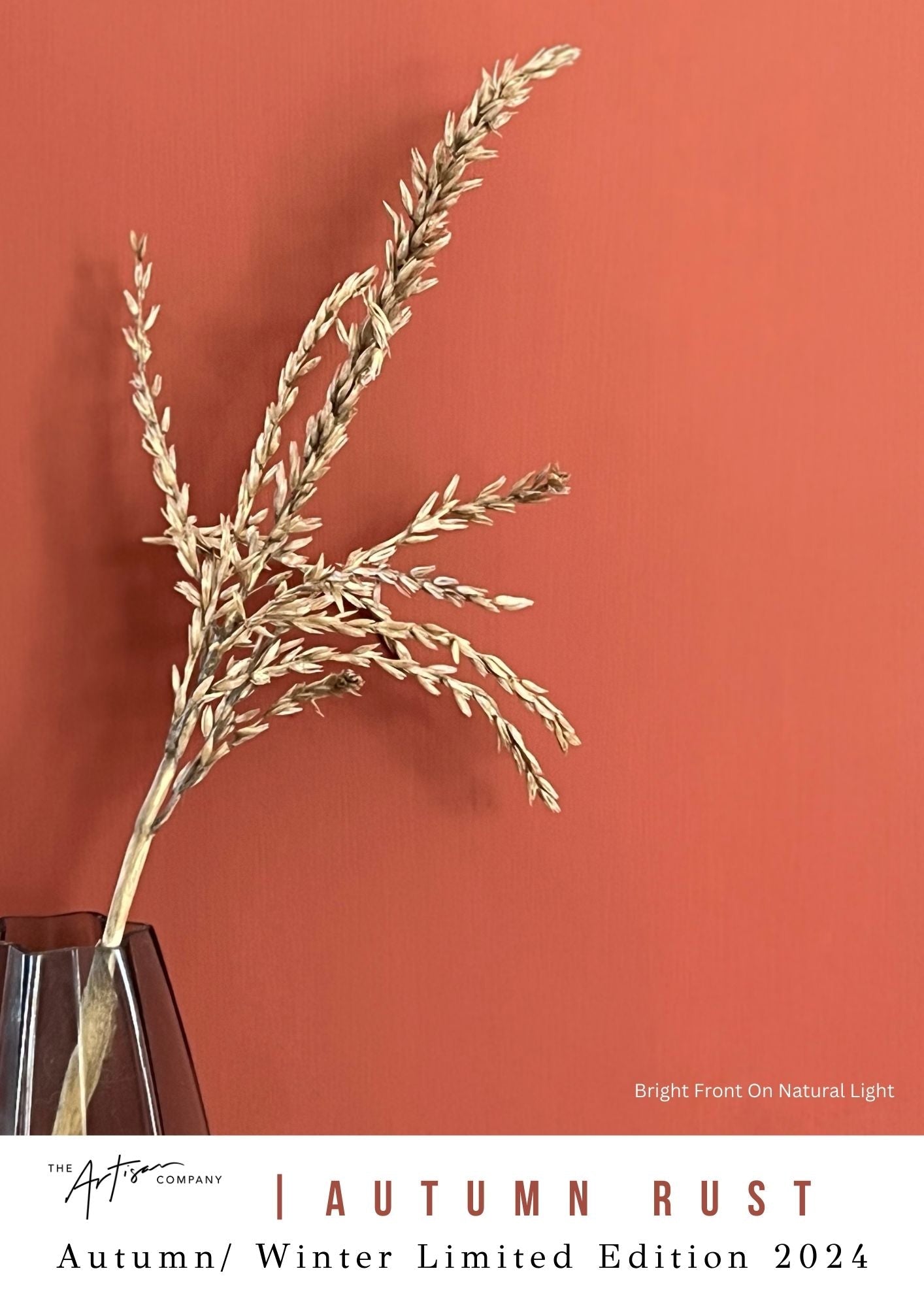 Feature wall painted in Autumn Rust – rich burnt orange chalk paint in natural light