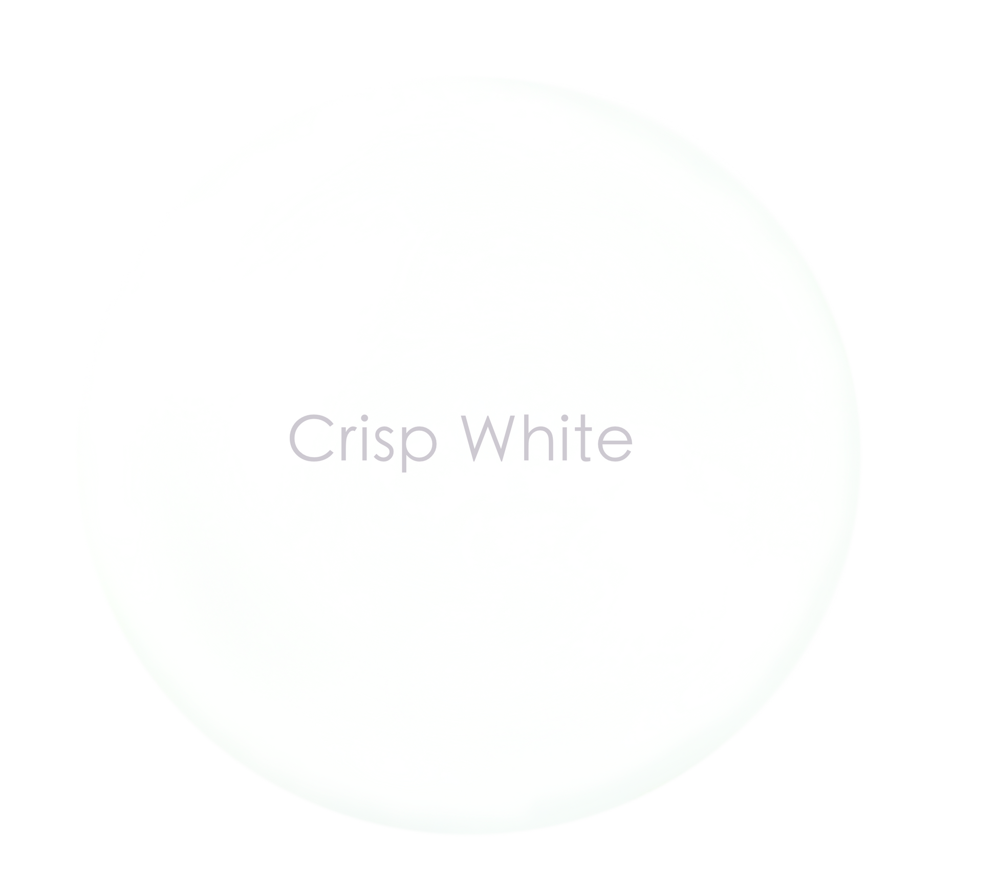 Crisp White exterior paint swatch – bright pure white