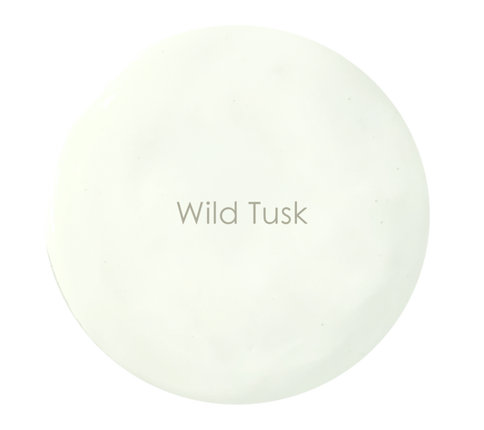 Wild Tusk chalk paint swatch – soft ivory off-white