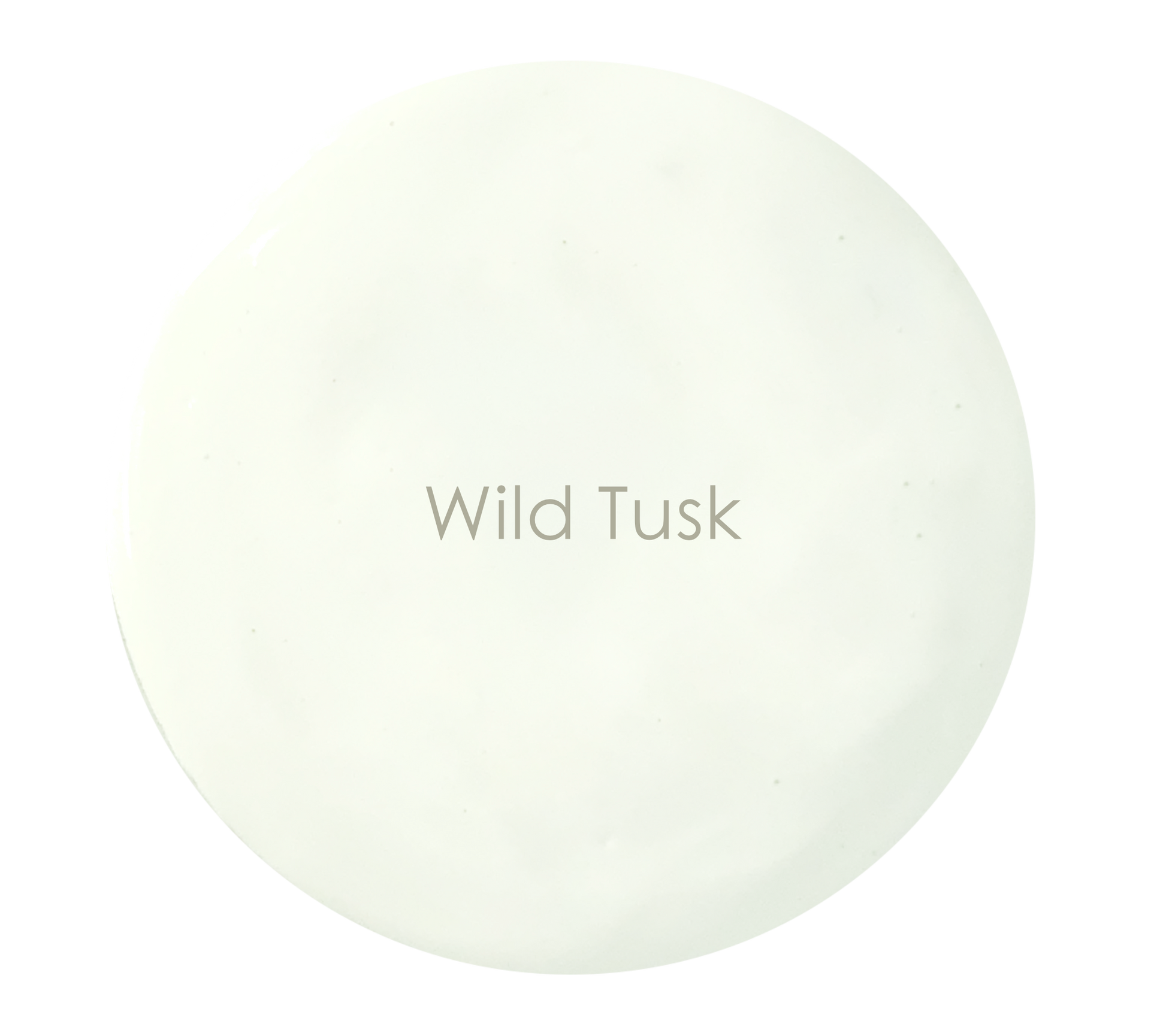 Wild Tusk paint tin – ivory off-white Velvet Luxe by The Artisan Company