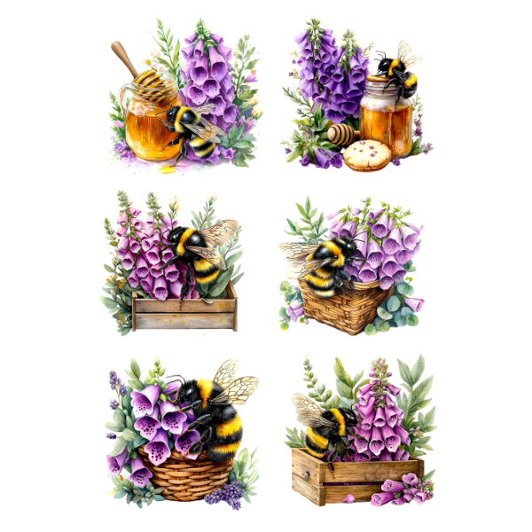 White Cloud Transfer - FoxGlove And Bee 2